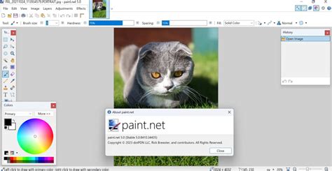 Paint.NET Plus 5.0 Download With Crack
