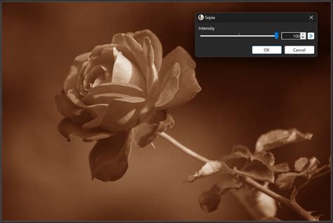 Paint.NET 5.0 Free Download File
